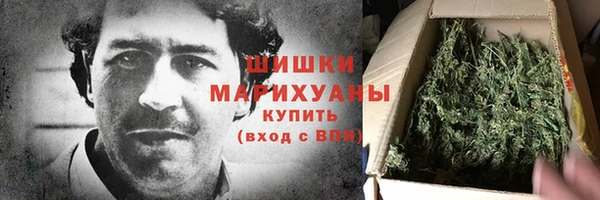 индика Строитель